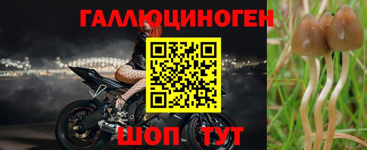 Галлюциногенные грибы ЛСД Усть-Джегута