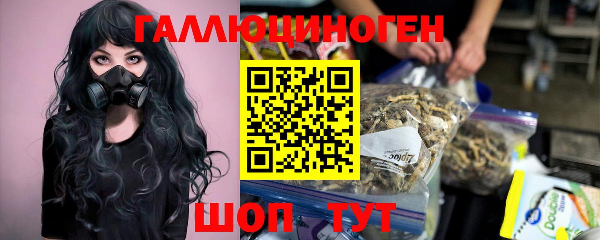 Псилоцибиновые грибы мицелий  Псилоцибиновые грибы Psilocybe  Усть-Джегута  Вход с VPN 